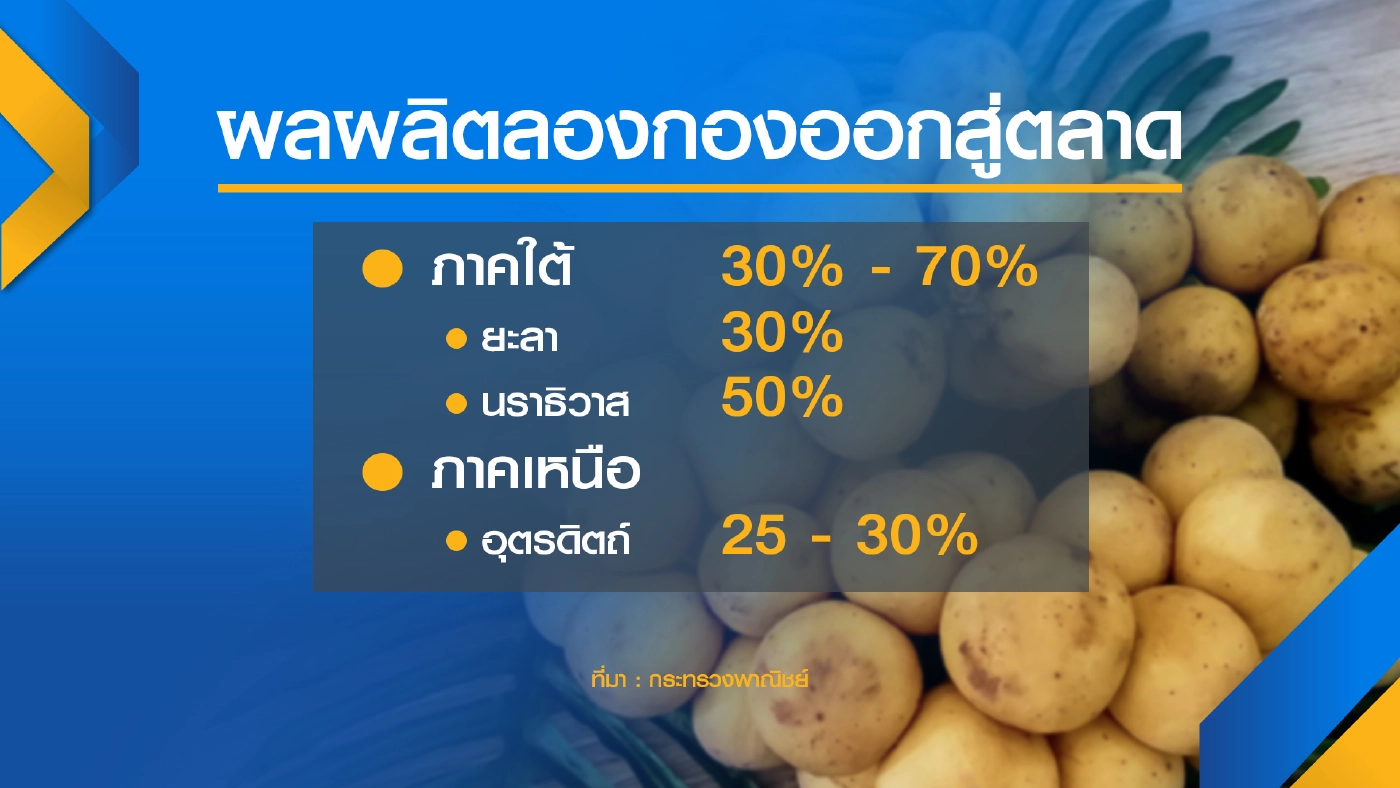 พาณิชย์เร่งช่วยกระจาย ลองกอง พยุงราคา