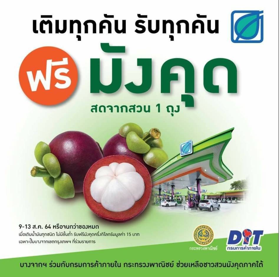 พาณิชย์ผนึกเอกชนรับซื้อมังคุดช่วยเกษตรกร