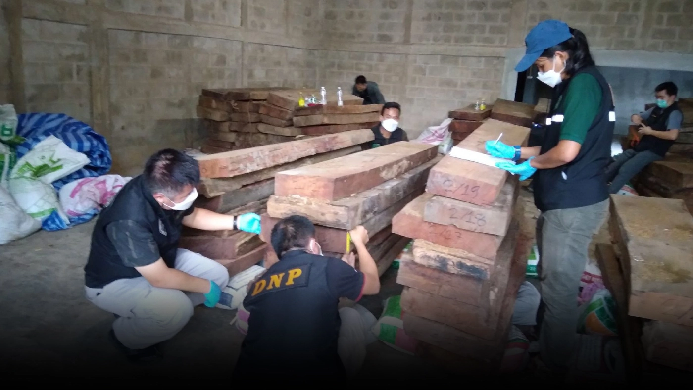 "พญาเสือ" บุกค้นโกดังลำปาง พบซุกไม้ประดู่ 105 แผ่น มูลค่ากว่า 20 ล้านบาท