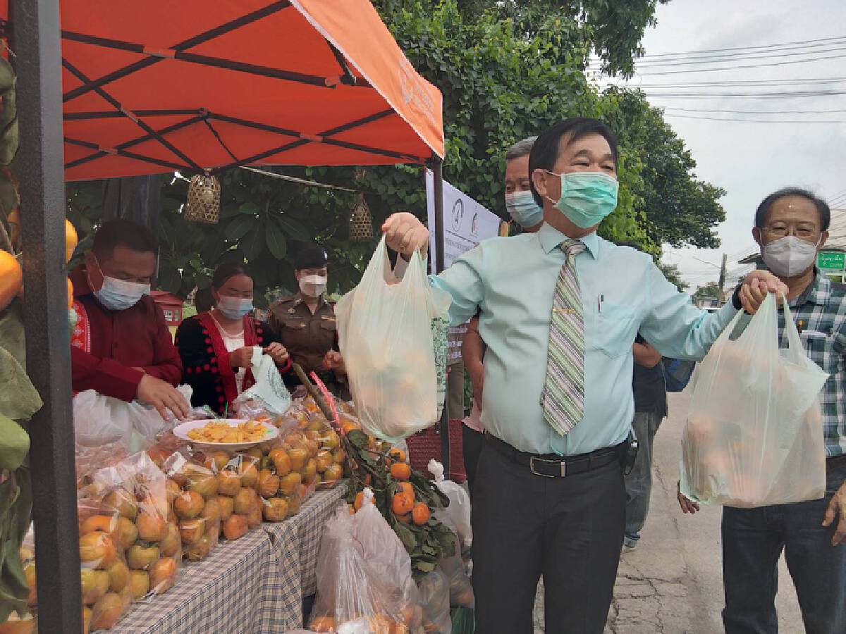 แห่อุดหนุน"ลูกพลับปลอดสาร"บ้านใหม่ร่องกล้า