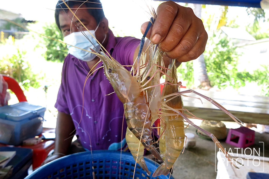 สดจากลุ่มน้ำทะเลสาบ ครัวขนาดใหญ่ของชาวสงขลา