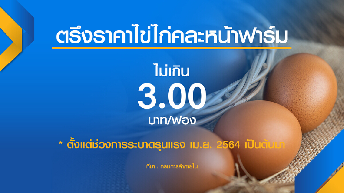 พาณิชย์ขู่ กักตุน-ปั่นราคา ไข่ไก่เจอคุก
