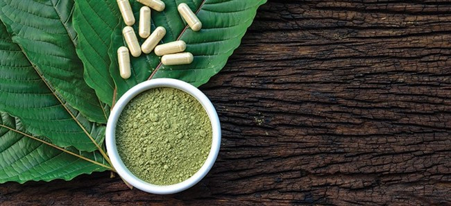 พืชกระท่อม