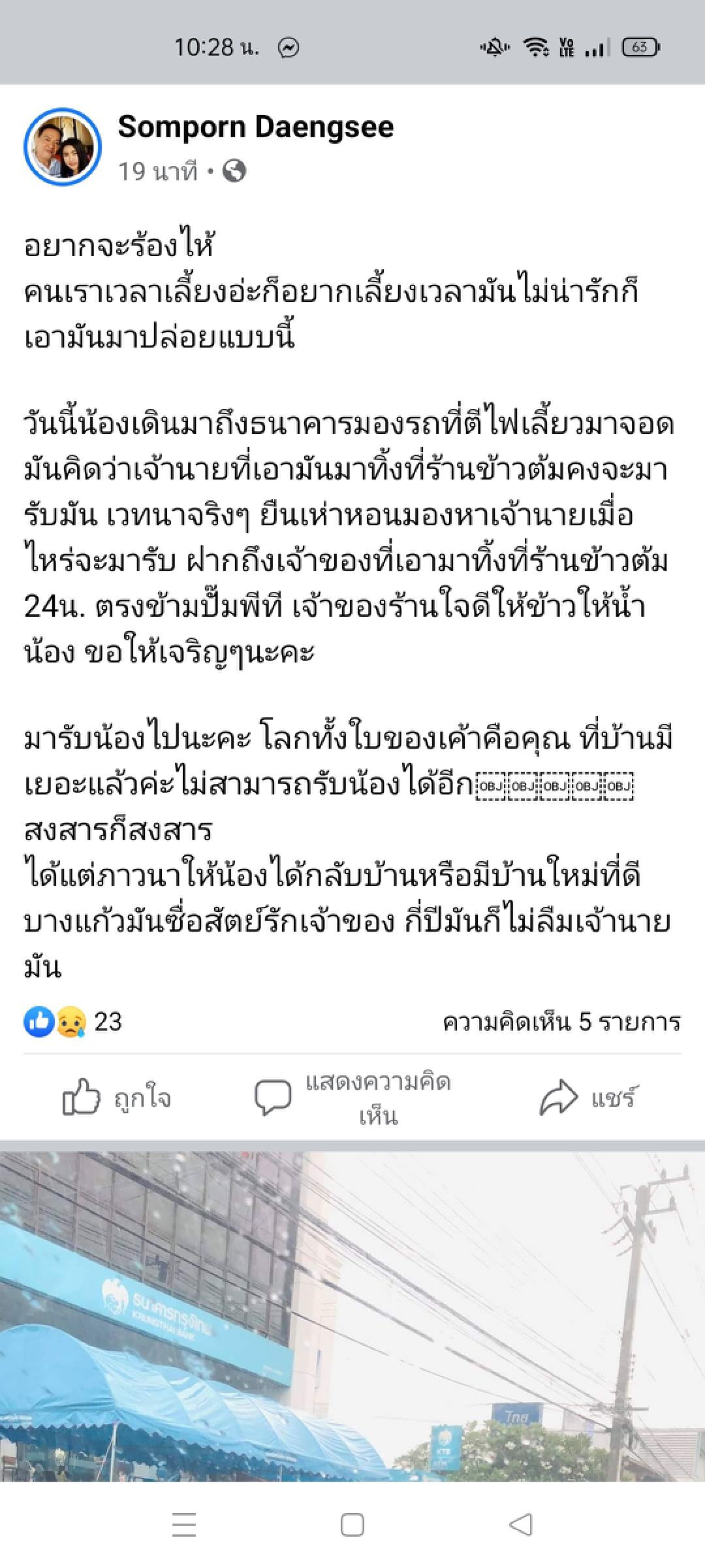 สุดสงสาร บางแก้วเพศเมียถูกปล่อยทิ้งหน้าร้านอาหารยืนตากฝนรอเจ้าของ5วัน