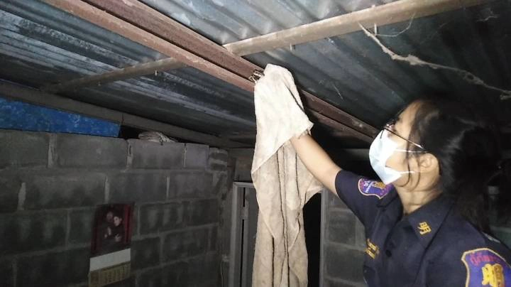 กรี๊ด ตุ๊กแกตัวใหญ่บุกห้องนอนแจ้งกู้ภัยช่วยจับปรากฏว่าเป็นงูหลาม