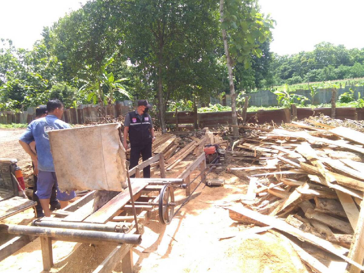 ป่าไม้รวบ3ผู้ต้องหา-ลักลอบแปรรูปไม้