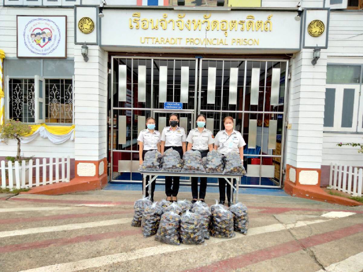 กรมราชทัณฑ์ ช่วยเกษตรกรไทยเพิ่มเมนูผลไม้ให้ผู้ต้องขัง