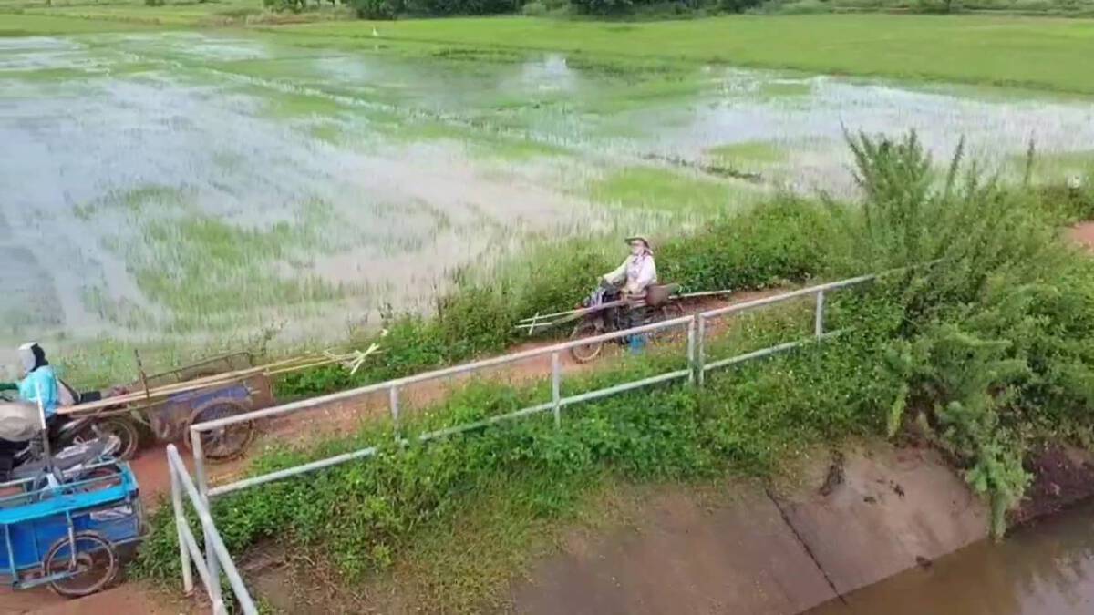 อานิสงส์ฝนตก-ชาวพะเยาแห่จับปลาสร้างรายได้