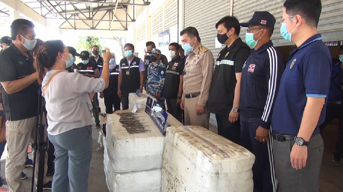 ตรวจยึดเรืออินโดนีเซีย นำเข้าตุ๊กแกตากแห้ง กว่า 2 พันกิโลกรัม