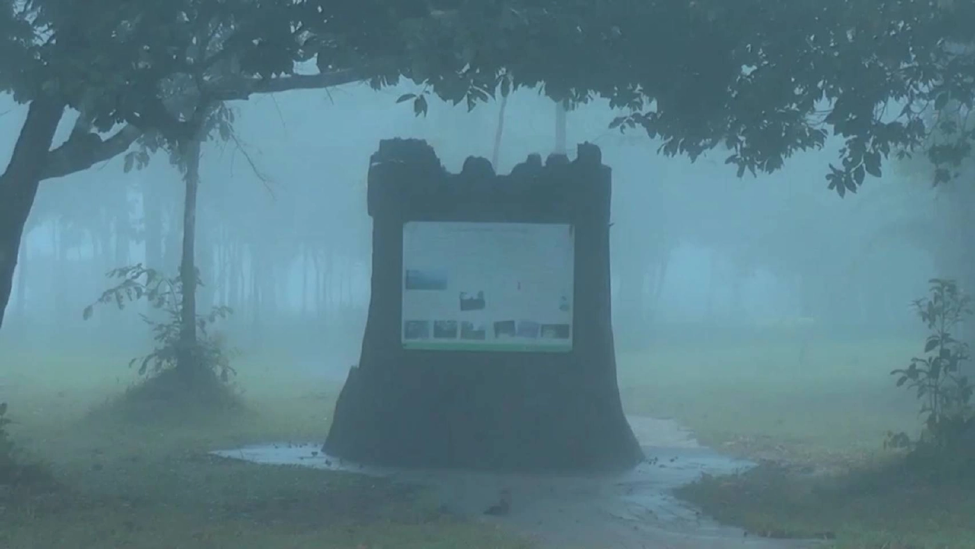 ชมภาพสุดยอดทะเลหมอกบนมอหินขาวแหล่งท่องเที่ยวชัยภูมิ