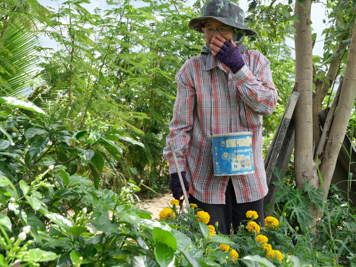 นักดนตรีตกงานยึด"เกษตรพอเพียง"-เนรมิตพื้นที่6ไร่สร้างรายได้