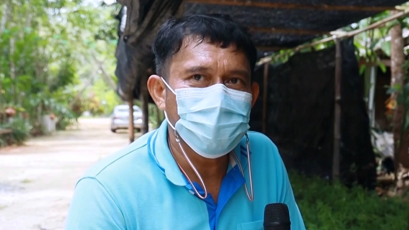 เพาะพันธุ์ต้นกล้าฟ้าทะลายโจร ยอดจองกว่า 50,000 ต้น