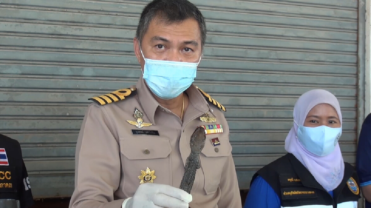 ตรวจยึดเรืออินโดนีเซีย นำเข้าตุ๊กแกตากแห้ง กว่า 2 พันกิโลกรัม