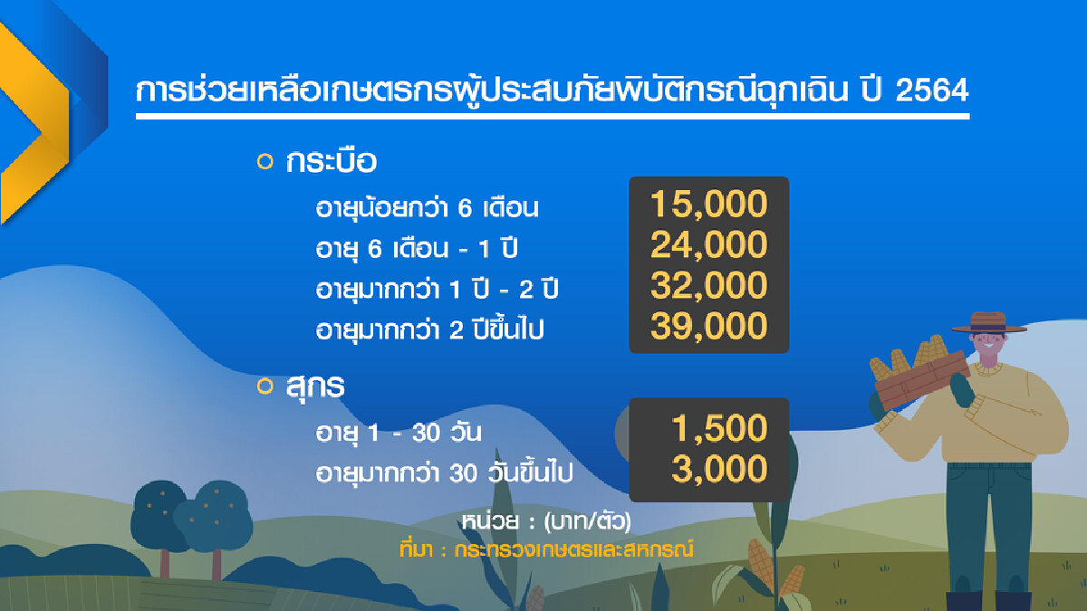 รัฐเปิดตัวเลขช่วยเกษตรกรลดผลกระทบภัยพิบัติ