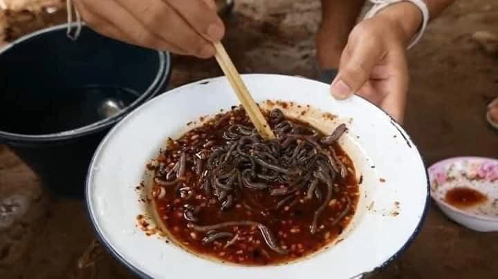 อย่าหาทำ! เตือนเปิบไส้เดือนดิบ แหล่งรวมเชื้อโรค