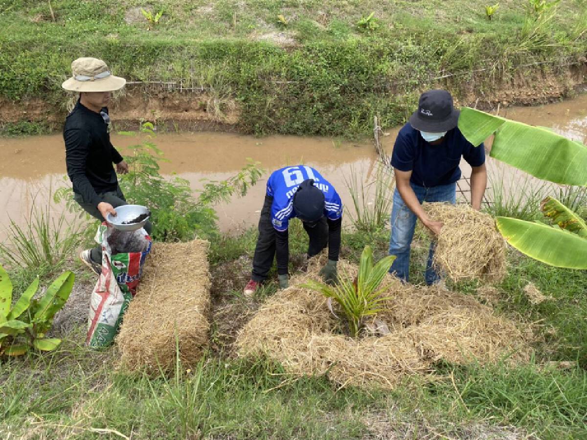 รอง ผกก.ใช้เวลาว่าง ชวนเพื่อนตร.สร้างแปลงกระชายขาวต้านโควิด