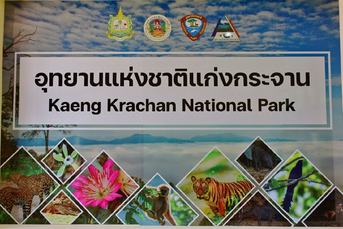 ดูแลครอบครัวผู้พิทักษ์ป่า อย่างสมเกียรติ