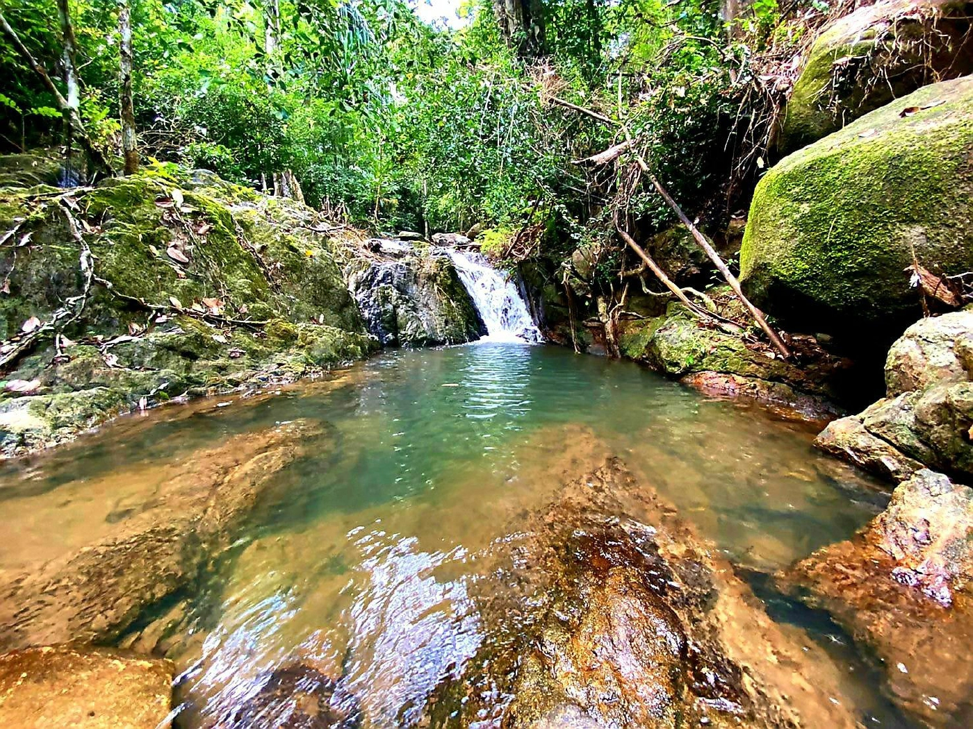 เตรียมหนุน เขตห้ามล่าสัตว์ป่าเขาพระแทว จ.ภูเก็ต