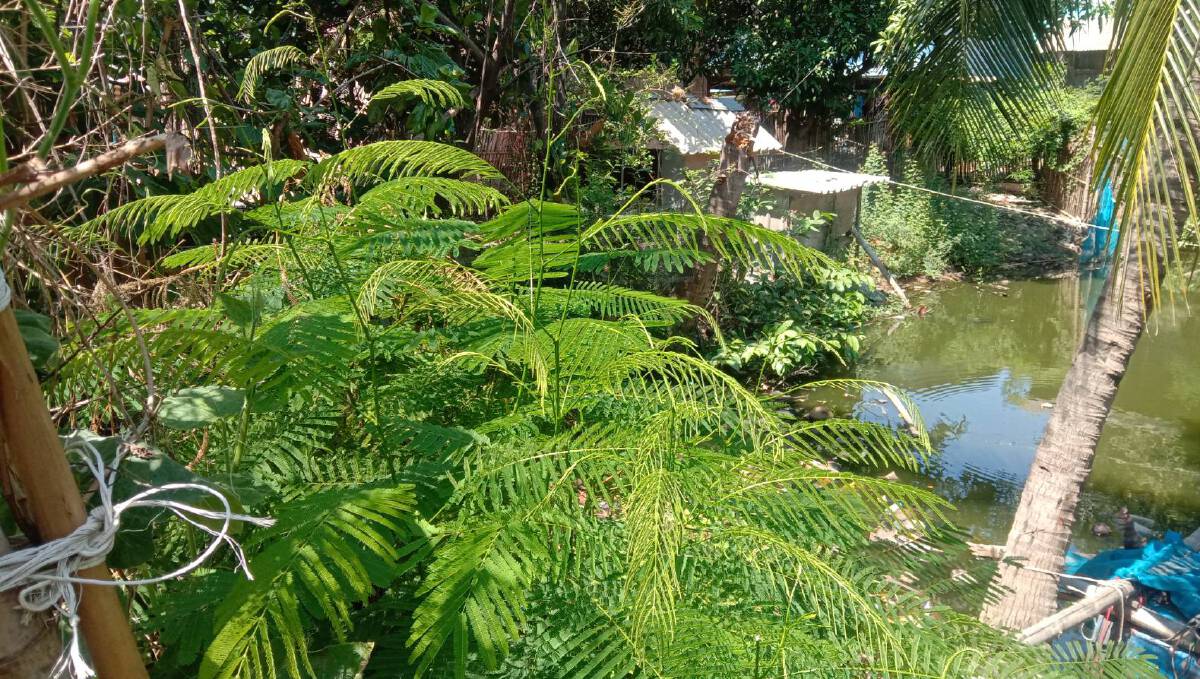 กำนันเปิดสวนหลังบ้านให้ชาวบ้านเข้ามาเก็บผัก-จับปลาฟรี