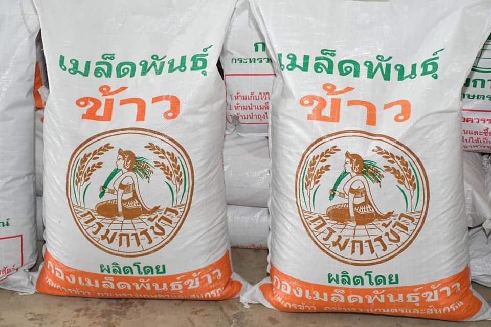 เกษตรฯ เสริมขุมกำลังผลิตข้าว 1.2 แสนตัน/ปี