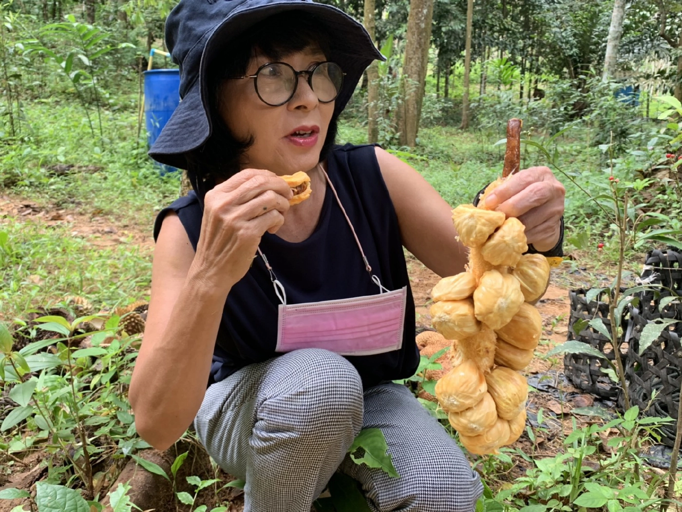 เปิดสวนจำปาดะ 60 ต้น 60 รสชาติ กินฟรีได้ทุกอย่าง