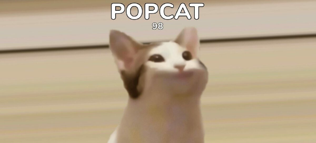 ศึก POPCAT เดือดไทยไต้หวันรัวนิ้วผลัดกันครองที่ 1