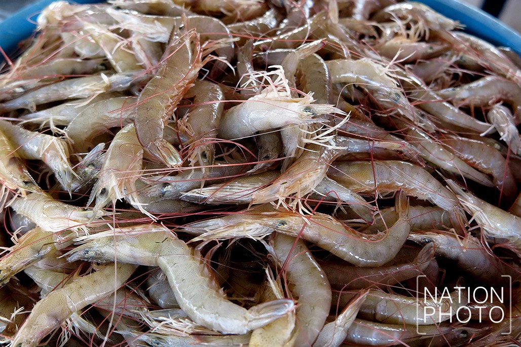 สดจากลุ่มน้ำทะเลสาบ ครัวขนาดใหญ่ของชาวสงขลา
