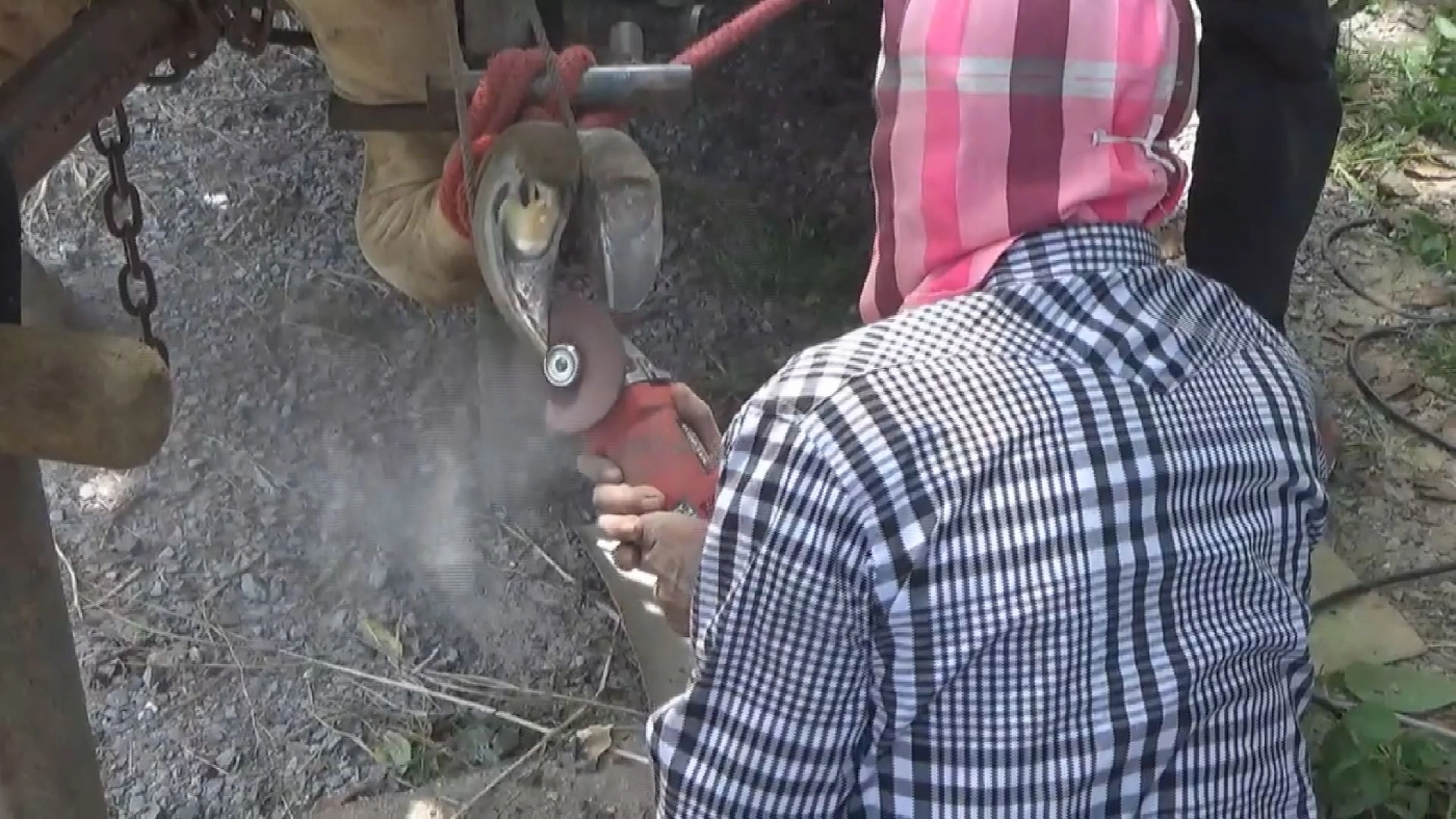 โควิดไร้ผลกระทบ ช่างแต่ง กีบวัว ทำเงิน 2 แสน/เดือน