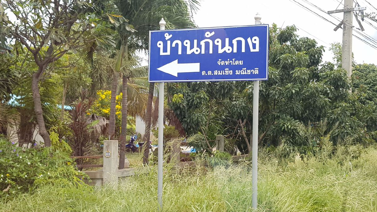ฮือฮาพบปลีกล้วยออกกลางลำต้น 3 ต้น เชื่อเกิดในบ้านให้โชค