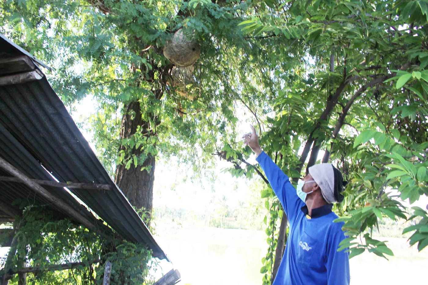 อาชีพแปลก หนุ่มเลี้ยงต่อหัวเสือขายตัวอ่อนเสริมรายได้ยุคโควิด