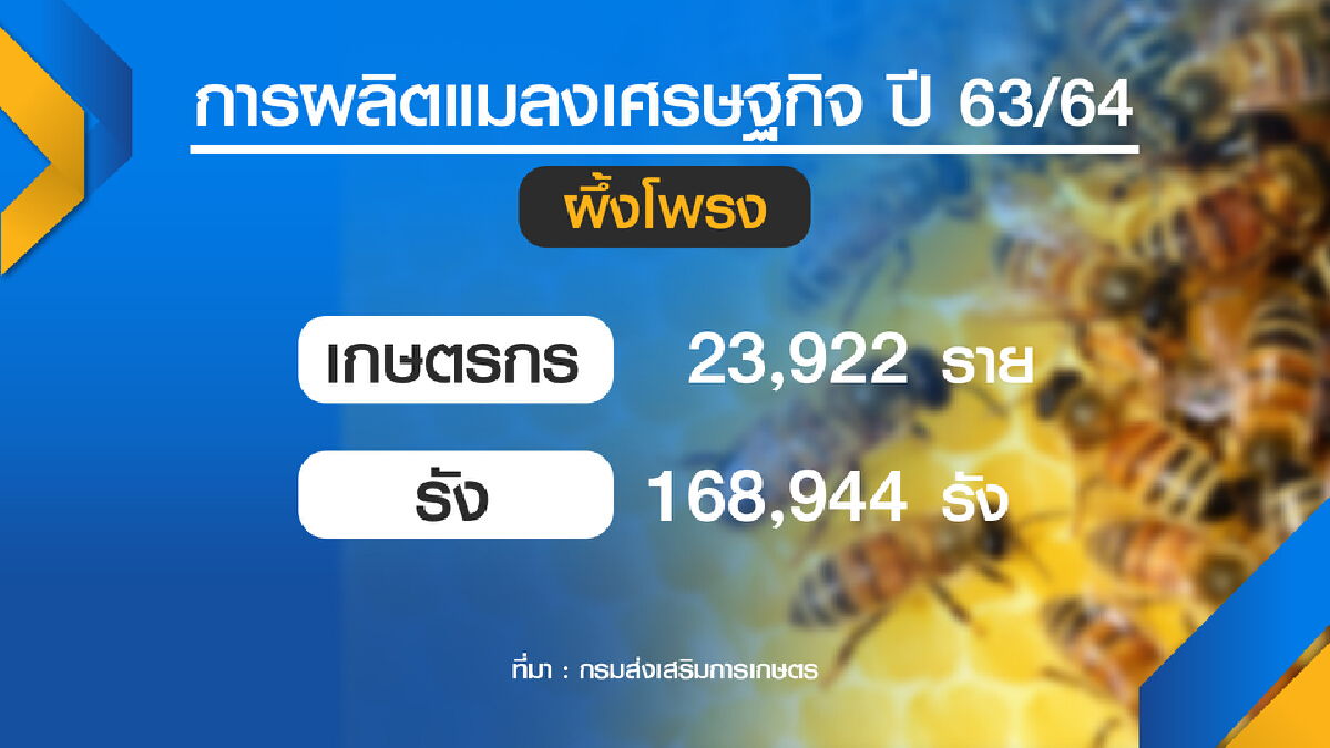 เกษตรฯอัดงบดัน แมลง สร้างรายได้ชุมชน