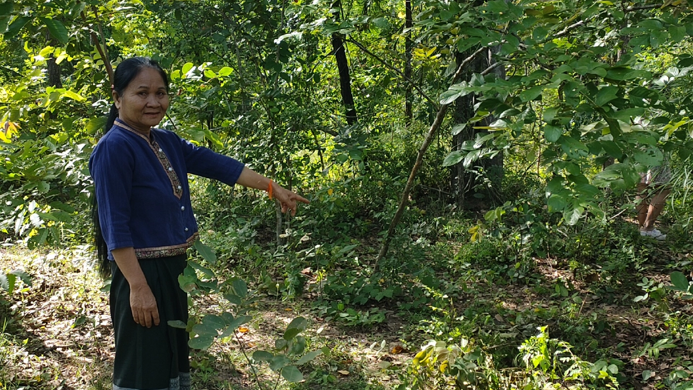 ป้าวัย58เข้าป่าหาเห็ดเจอไอ้โม่งโรคจิตย่องเอาผ้าคลุมหัว