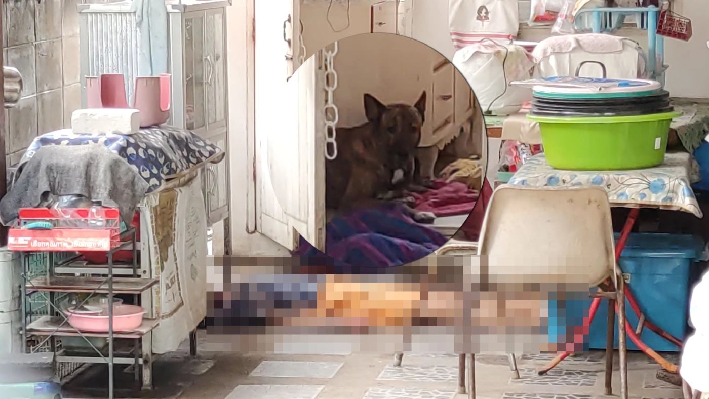 “ไอ้เสือ” ขย้ำเจ้าของวัย 61 ปี เลือดสาดสิ้นใจ