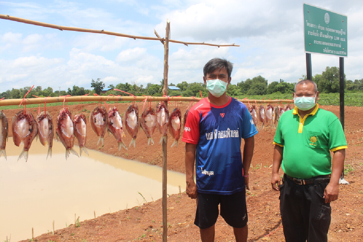 หนุ่มโคราชจับปลาบ่อตัวเองทำปลาแดดเดียว มอบผู้กักตัวโควิด