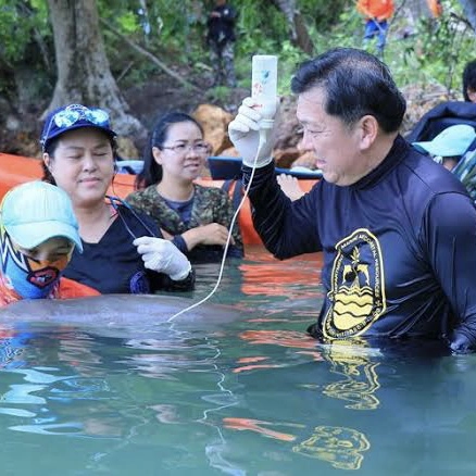 ครบ 2 ปีสูญเสียพะยูนมาเรียม เร่งคุ้มครองทะเลตรัง