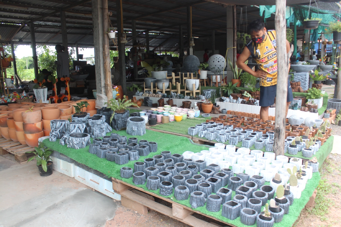 กระถางต้นไม้ดินเผาขายดี สวนกระแสวิกฤติโควิด-19