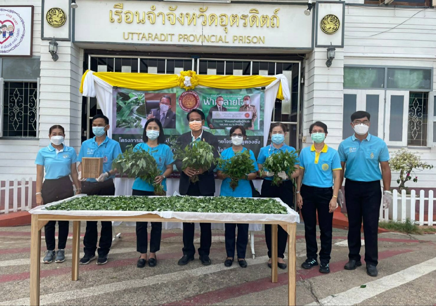 เรือนจำอุตรดิตถ์“เปลี่ยนสนามหญ้า-ปลูกฟ้าทะลายโจร”