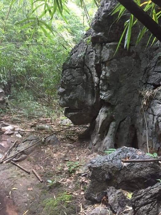 ตะลึง!พบหินสุดแปลกเหมือนหน้า"พญาวานร"