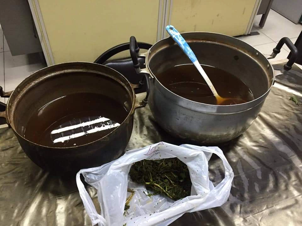 ดีเดย์แล้ว! ปลดล็อกพืชกระท่อมไม่ผิดกฎหมาย เคี้ยว-ต้ม-ขาย ไม่โดนจับ