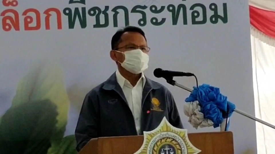 "สมศักดิ์" ลงพื้นที่สุราษฎร์ฯ เตรียมปลดล็อคพืชกระท่อม ดีเดย์ 24 สิงหา