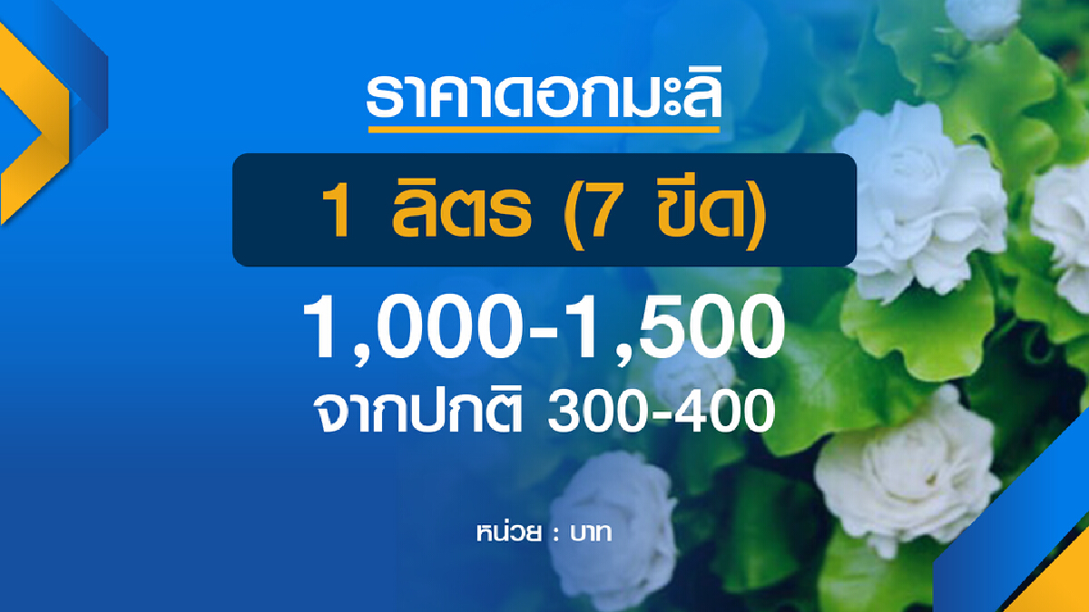 มะลิ โลละพัน! ฉุดยอดพวงมาลัยวันแม่ซบเซา