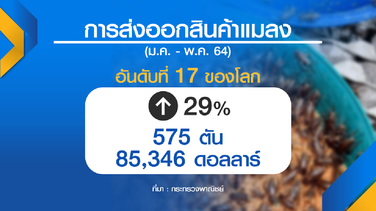 เกษตรฯอัดงบดัน แมลง สร้างรายได้ชุมชน