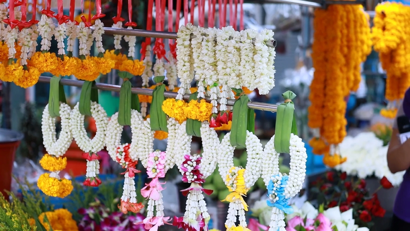 แม่ค้ากิมหยงโอด ยอดขายตกราคาดอกมะลิพุ่งต้อนรับวันแม่