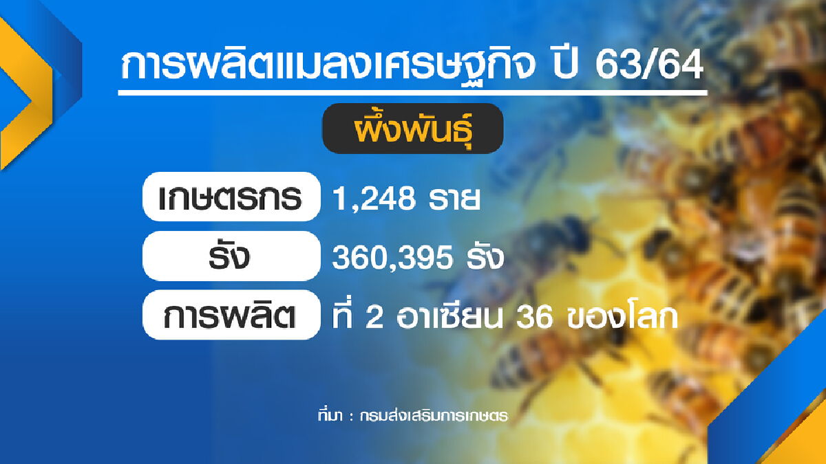 เกษตรฯอัดงบดัน แมลง สร้างรายได้ชุมชน