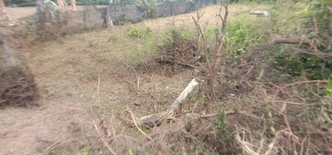 ซุกบึ้ม!! ดักสังหารจนท.รือเสาะรอดหวุดหวิด