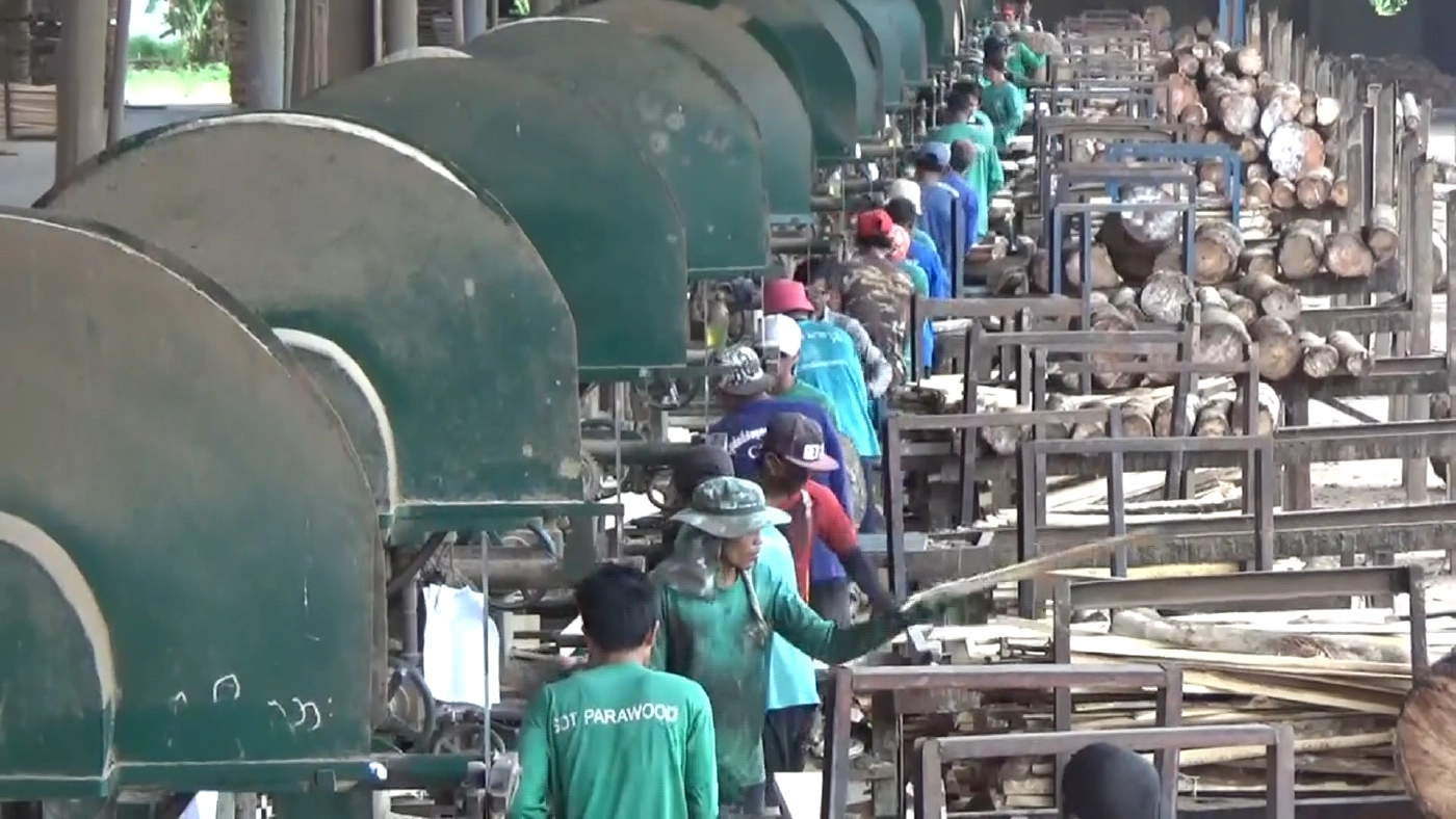 พบโรงงานแปรรูปไม้ยางในตรัง ลักลอบเปิด ผิดกม.