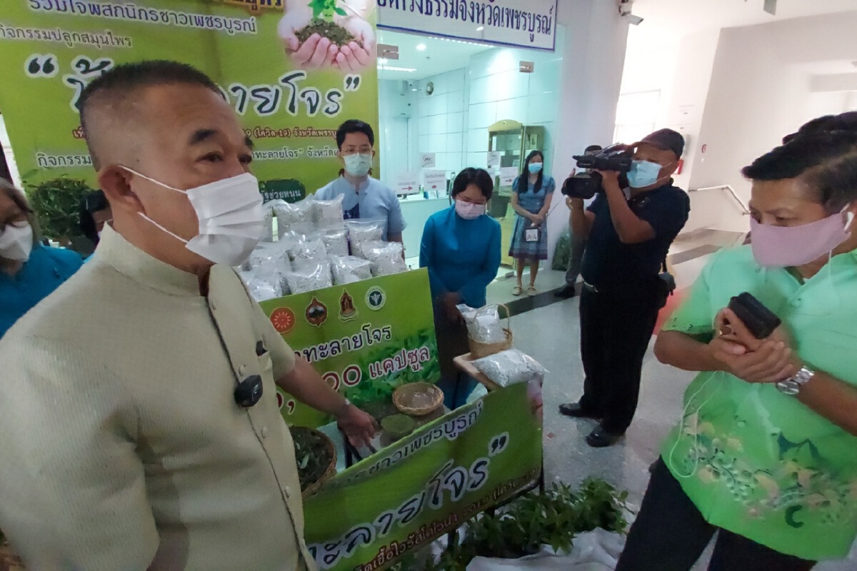 เพชรบูรณ์รับมอบฟ้าทะลายโจร 3 แสนเม็ดรักษาผู้ป่วยโควิดอาการไม่รุนแรง