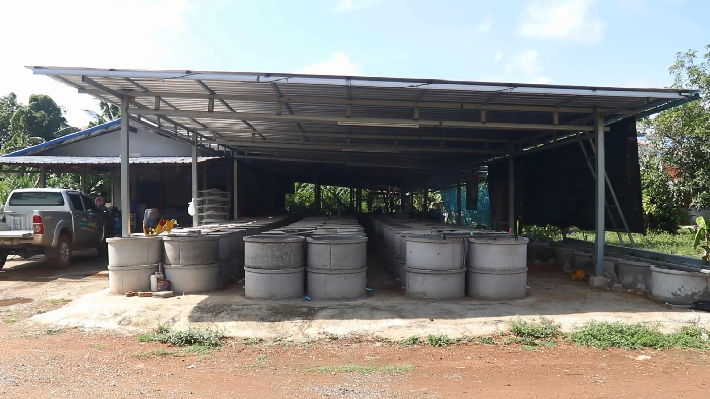 อาชีพใหม่เพาะเลี้ยง"ตัวอ้น"รายได้งาม