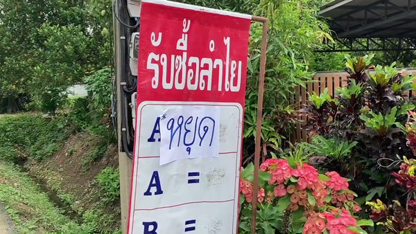 ชาวสวนโวยสนั่น! ค่าส่งลำไยแพงหูฉี่ กระทบขายออนไลน์