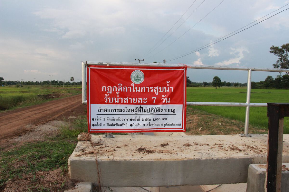 ฝนทิ้งช่วงชาวนาแย่งสูบน้ำในคลองใส่นาข้าววอนชลประทานปล่อยน้ำทั่วถึง